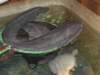 foto015_small.jpg