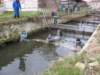 foto047_small.jpg