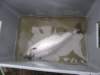 foto089_small.jpg