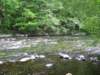 foto010_small.jpg